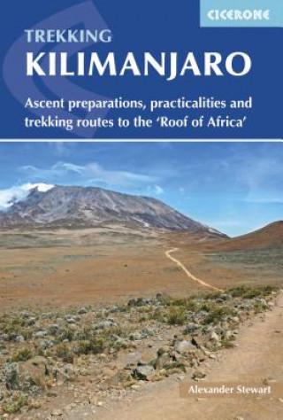 Kniha Kilimanjaro Alex Stewart