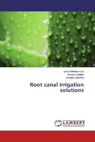 Kniha Root canal irrigation solutions Zahed Mohammadi