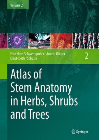 Kniha Atlas of Stem Anatomy in Herbs, Shrubs and Trees Fritz Hans Schweingruber