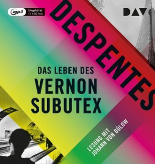 Digital Das Leben des Vernon Subutex Virginie Despentes