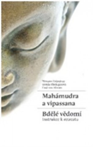 Book Mahámudra a vipassana Bdělé vědomí Tilmann Lhundrup