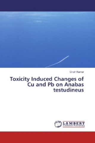Книга Toxicity Induced Changes of Cu and Pb on Anabas testudineus Girish Kumar
