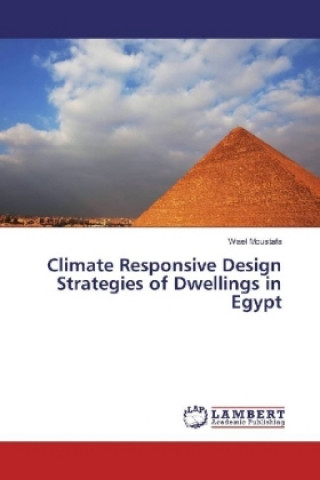 Книга Climate Responsive Design Strategies of Dwellings in Egypt Wael Moustafa