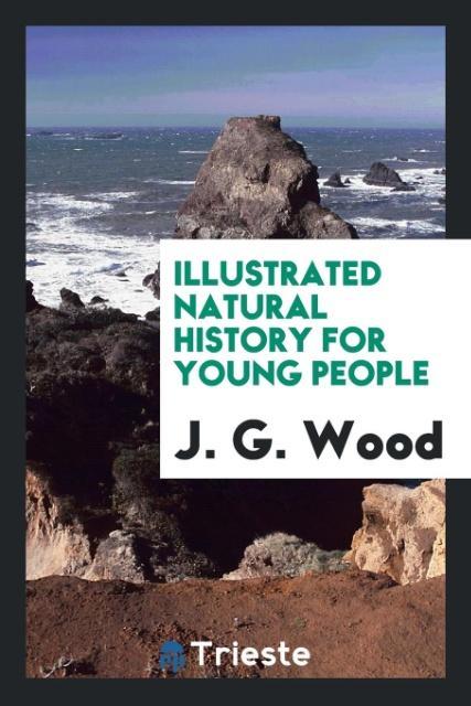 Kniha Illustrated Natural History for Young People J. G. WOOD
