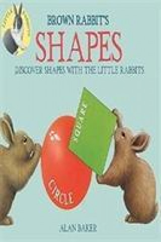 Boek Little Rabbits: Brown Rabbit's Shapes Alan Baker
