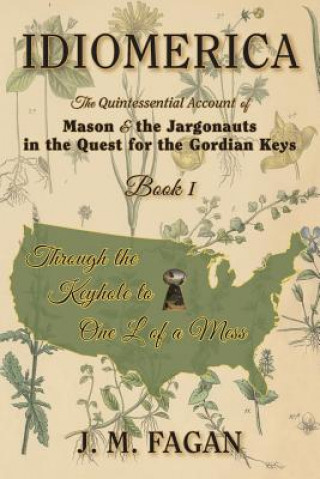 Knjiga Through the Keyhole to One L of a Mess J. M. FAGAN