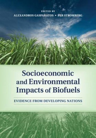 Buch Socioeconomic and Environmental Impacts of Biofuels Alexandros Gasparatos