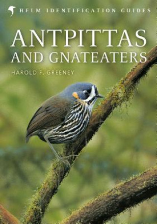 Kniha Antpittas and Gnateaters Harold Greeney