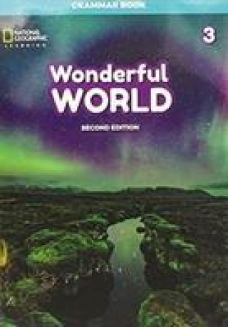 Kniha Wonderful World 3: Grammar Book 