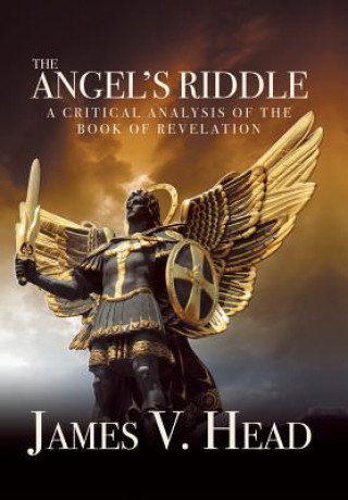 Книга Angel's Riddle JAMES V. HEAD