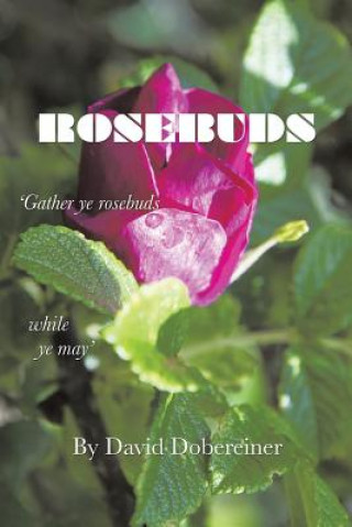 Book Rosebuds DAVID DOBEREINER