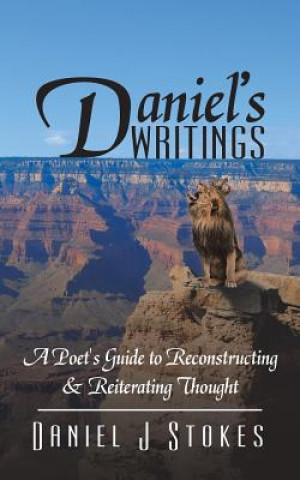 Kniha Daniel's Writings DANIEL J STOKES