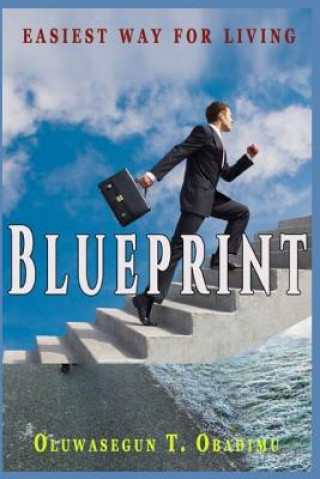 Buch Blueprint Oluwasegun T Obadimu