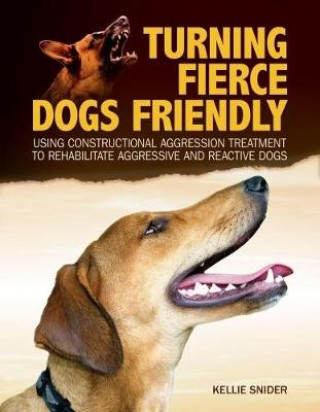 Könyv Turning Fierce Dogs Friendly KELLIE SNIDER