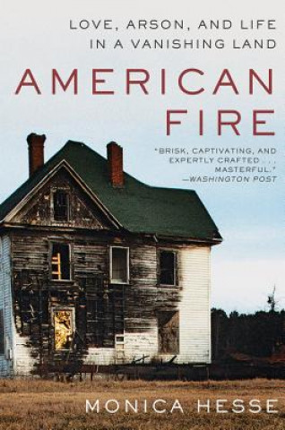 Kniha American Fire Monica Hesse