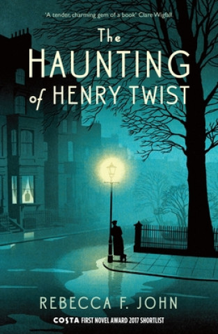 Kniha Haunting of Henry Twist Rebecca F. John