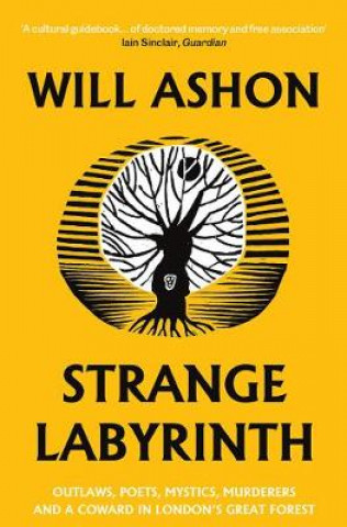 Книга Strange Labyrinth Will Ashon
