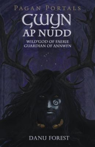 Книга Pagan Portals - Gwyn ap Nudd - Wild god of Faery, Guardian of Annwfn Danu Forest