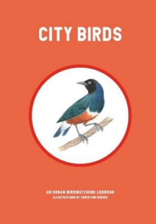 Calendar / Agendă City Birds Christine Berrie