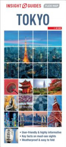 Tiskanica Insight Guides Flexi Map Tokyo 
