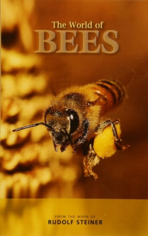 Kniha World of Bees Rudolf Steiner