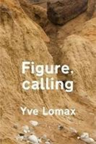 Könyv Figure, calling Yve Lomax