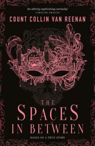 Knjiga Spaces in Between Collin van Reenan