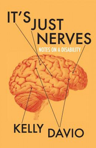 Book It's Just Nerves KELLY DAVIO