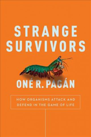 Kniha Strange Survivors One R. Pagan