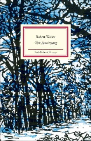 Könyv Der Spaziergang Robert Walser