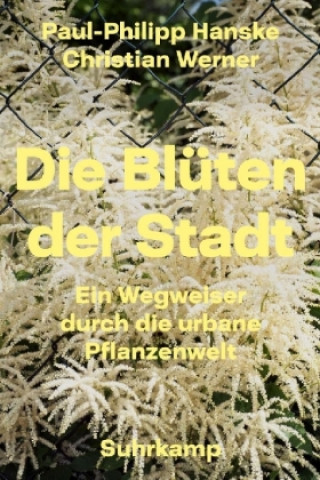 Книга Die Blüten der Stadt Paul-Philipp Hanske