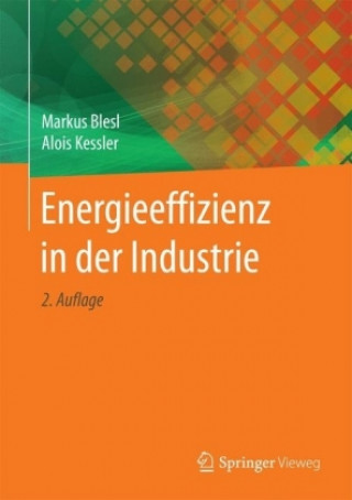 Buch Energieeffizienz in der Industrie Markus Blesl