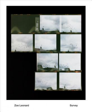 Kniha Zoe Leonard Bennett Simpson