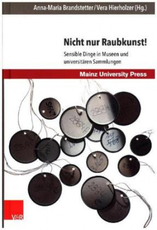 Livre Nicht nur Raubkunst! Anna-Maria Brandstetter