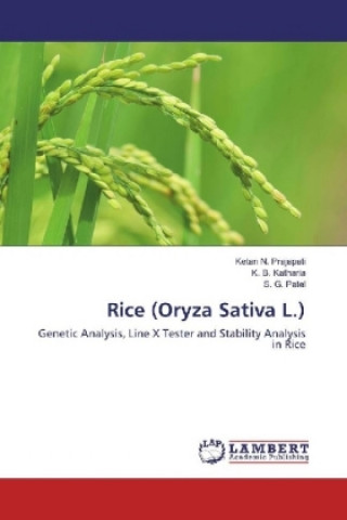 Könyv Rice (Oryza Sativa L.) Ketan N. Prajapati