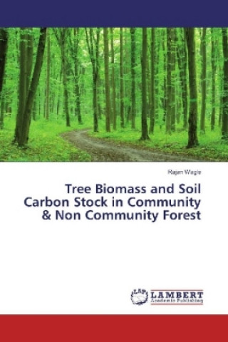 Kniha Tree Biomass and Soil Carbon Stock in Community & Non Community Forest Rajan Wagle