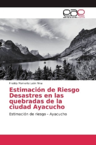 Книга Estimación de Riesgo Desastres en las quebradas de la ciudad Ayacucho Freddy Mamerto León Nina