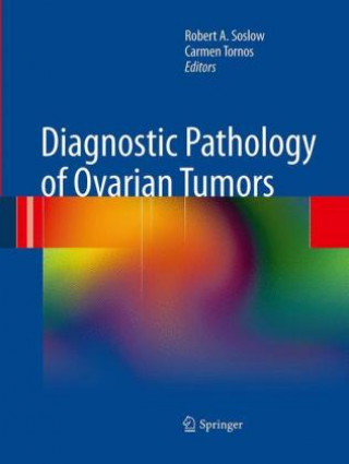 Kniha Diagnostic Pathology of Ovarian Tumors Robert A. Soslow