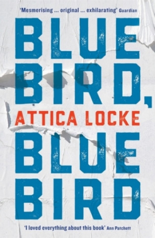 Carte Bluebird, Bluebird Attica Locke