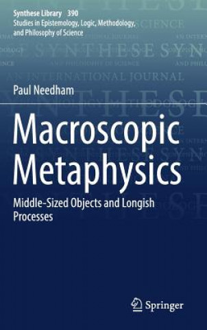 Kniha Macroscopic Metaphysics Paul Needham