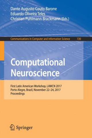 Knjiga Computational Neuroscience Dante Augusto Couto Barone
