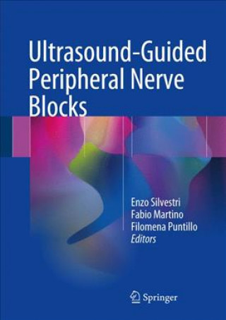 Knjiga Ultrasound-Guided Peripheral Nerve Blocks Enzo Silvestri