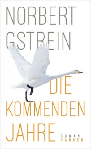 Könyv Die kommenden Jahre Norbert Gstrein