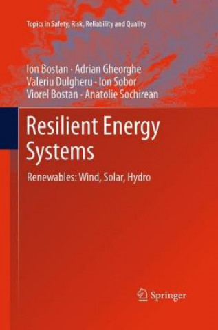 Książka Resilient Energy Systems Ion Bostan