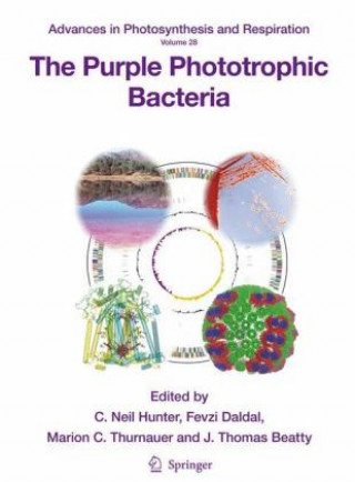 Carte Purple Phototrophic Bacteria C. N. Hunter