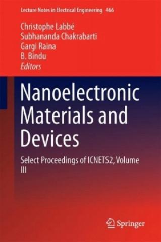 Livre Nanoelectronic Materials and Devices Christophe Labbe