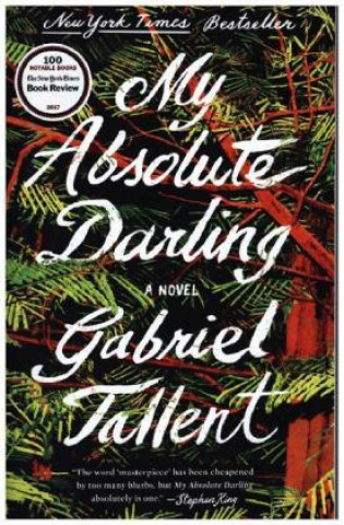 Kniha My Absolute Darling Gabriel Tallent