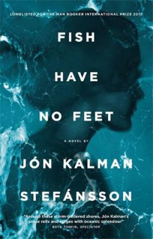 Kniha Fish Have No Feet Jón Kalman Stefánsson