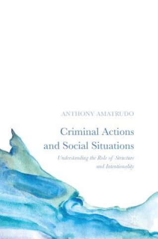 Kniha Criminal Actions and Social Situations Anthony Amatrudo