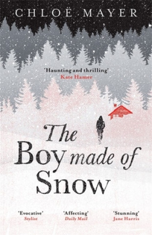 Könyv Boy Made of Snow Chloe Mayer